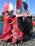 Hamina tattoo 2005, 2